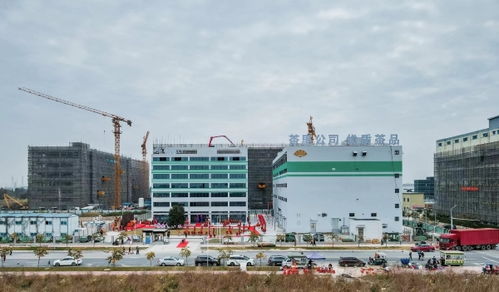 茶里集團南沙總部落成，推動高端袋泡茶標準化、工業化與科技化進程